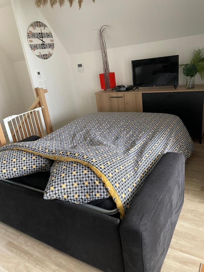 Bel Appartement « The Lion King » Proche Disney 몽테브랭 외부 사진